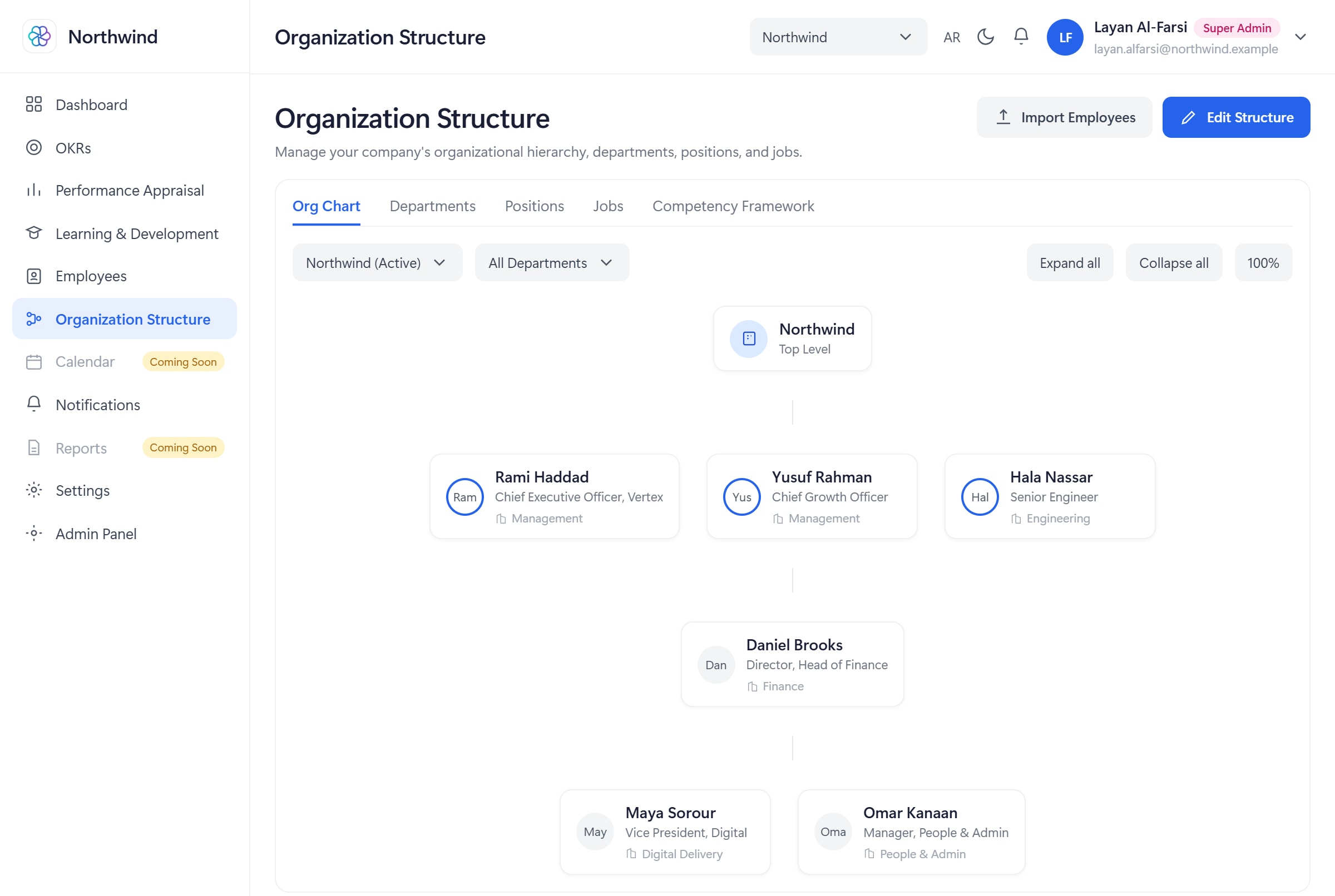 Solvait Wise organization structure and org chart