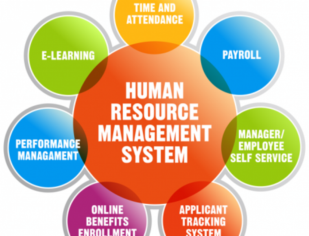 Mistakes People Make When Choosing an HR System – Solvait HCM for ...